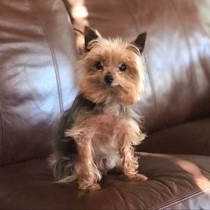 Meet your Posher, Denny